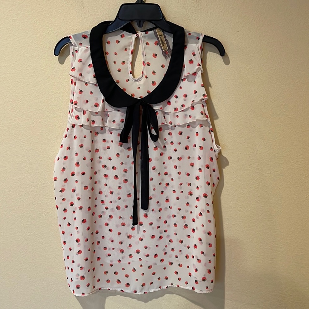NWT Lucie Lu Sheer Top